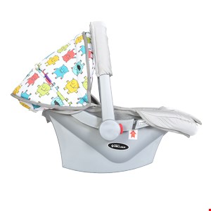 کریر اسکلت نقره ای
